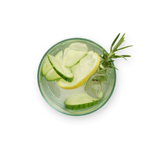 gin-and-tonic