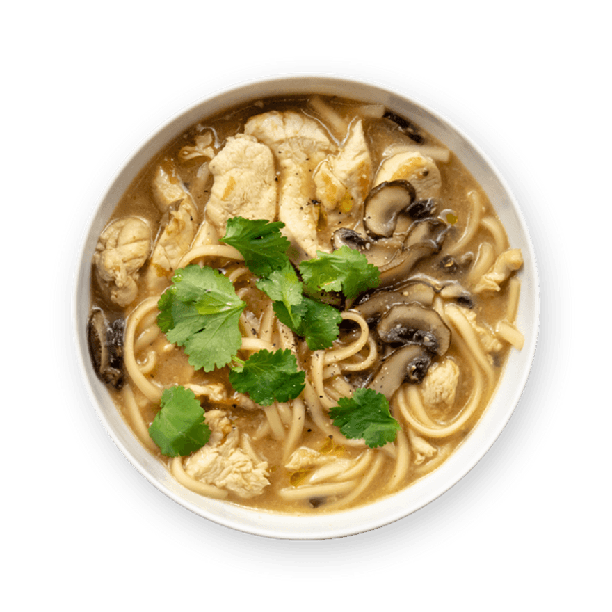 Chicken Udon Soup