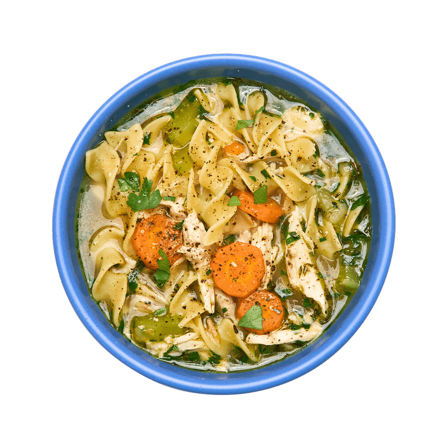 One Pot Classic Chicken Noodle Soup