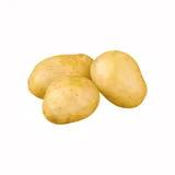 Yukon Gold potato