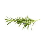 Rosemary (fresh)