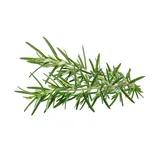 Rosemary (dried)