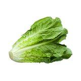 Romaine lettuce