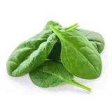 Spinach (fresh)