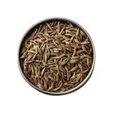 Cumin seeds