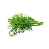 Dill (fresh)