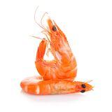 Shrimp (frozen, raw)
