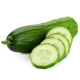 Cucumber