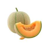 Cantaloupe