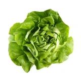 Bibb lettuce