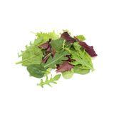 Spring mix lettuce