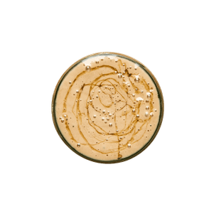 Java Smoothie