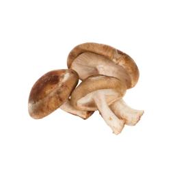 Shiitake mushrooms