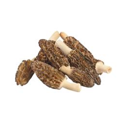 Morels (frozen)