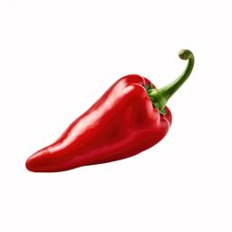 Fresno chili pepper