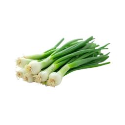 Green onion (scallions)