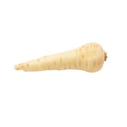 Parsnip