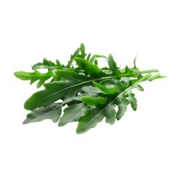 Arugula