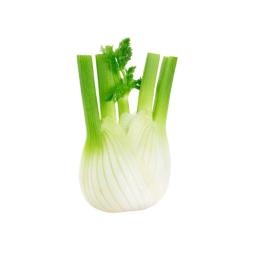 Fennel (bulb)