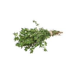 Thyme (fresh)