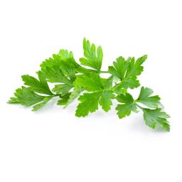 Parsley (fresh)