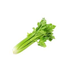 Celery