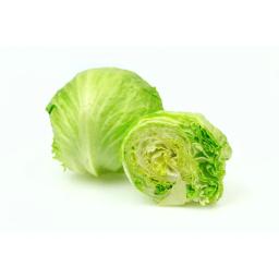 Iceberg lettuce