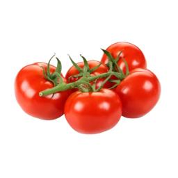 Tomatoes on the vine