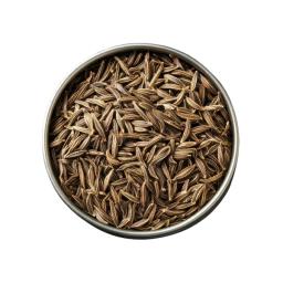 Cumin seeds