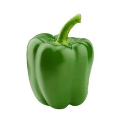 Bell pepper (green)