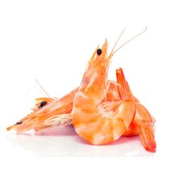 Cooked shrimp (frozen)