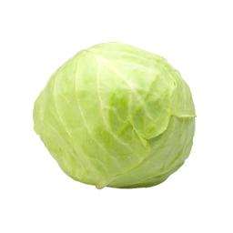 Green cabbage