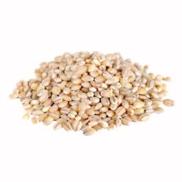 Pearl barley (quick cook)