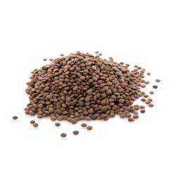 Lentils (cooked)