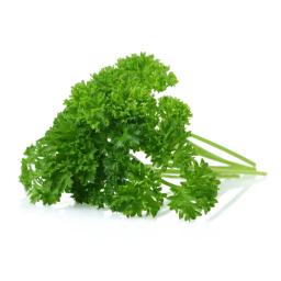 Curly parsley (fresh)