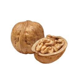 Walnuts