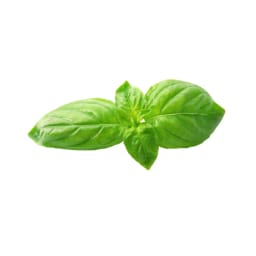 Basil (frozen)