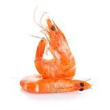 Shrimp (raw)
