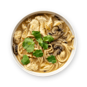 chicken-udon-soup