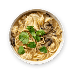 Chicken Udon Soup