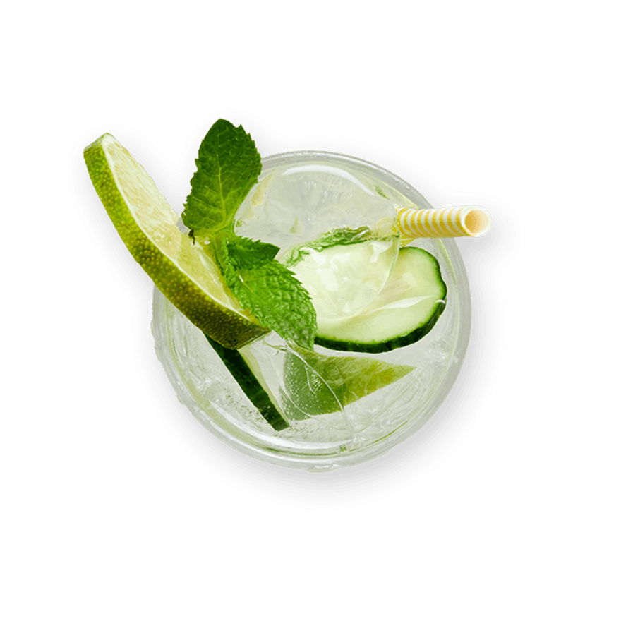 Cucumber Vodka Fizz