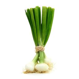 Green onion (scallions)