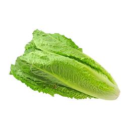 Lettuce (Romaine)