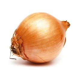Onion (yellow)