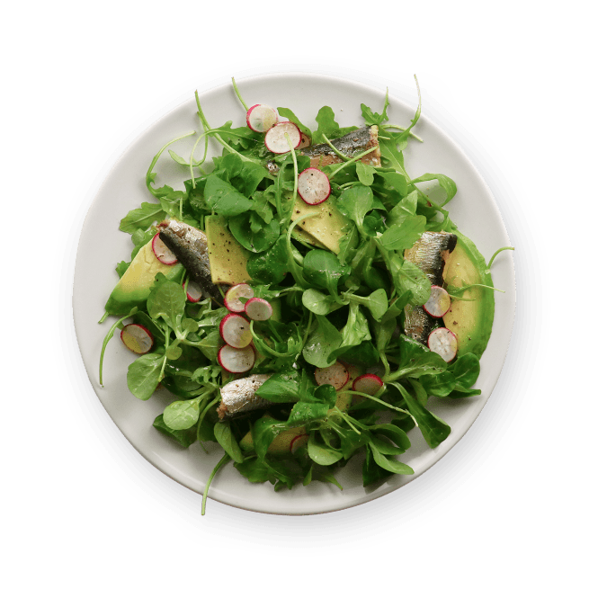 sardine-and-avocado-salad