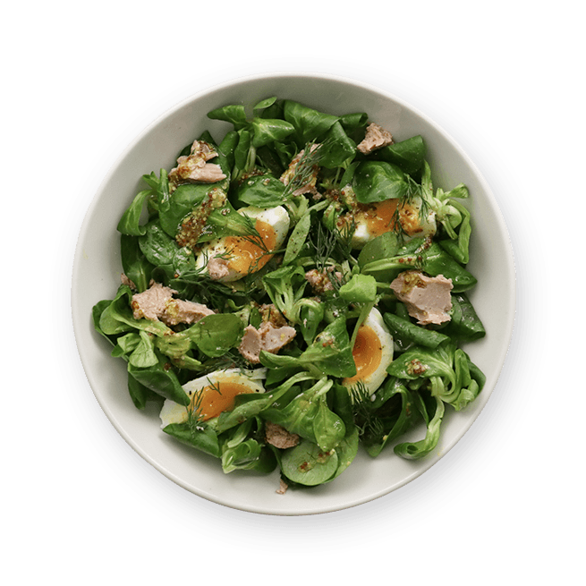 tuna-egg-and-arugula-salad